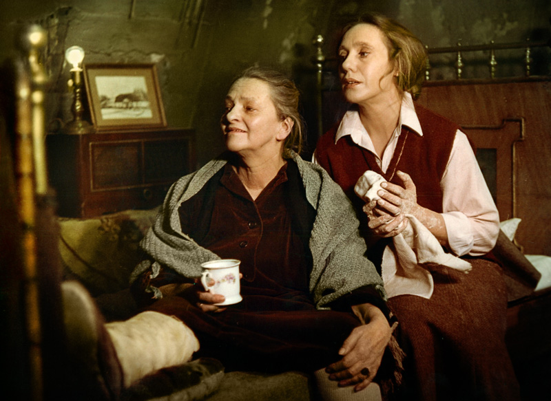 A Year of the Quiet Sun