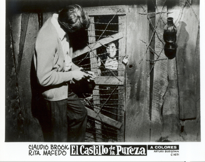 The Castle of Purity