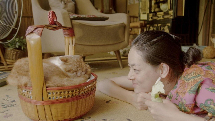 고양이를 빌려드립니다