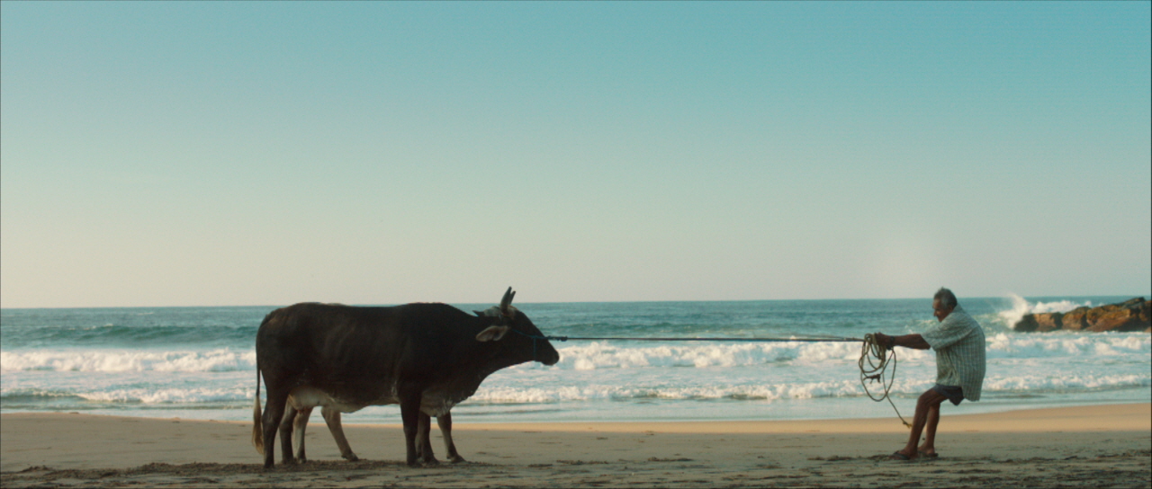 부재하는 사람들