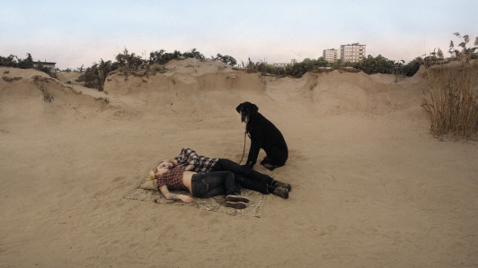 A Pigeon Sat on a Branch Reflecting on Existence