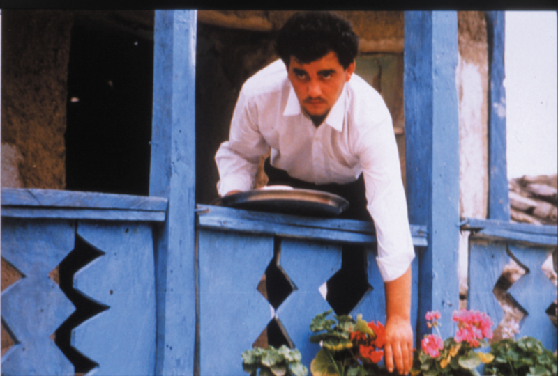 Through the Olive Trees