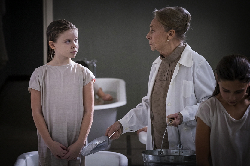 그림자들이 지는 곳