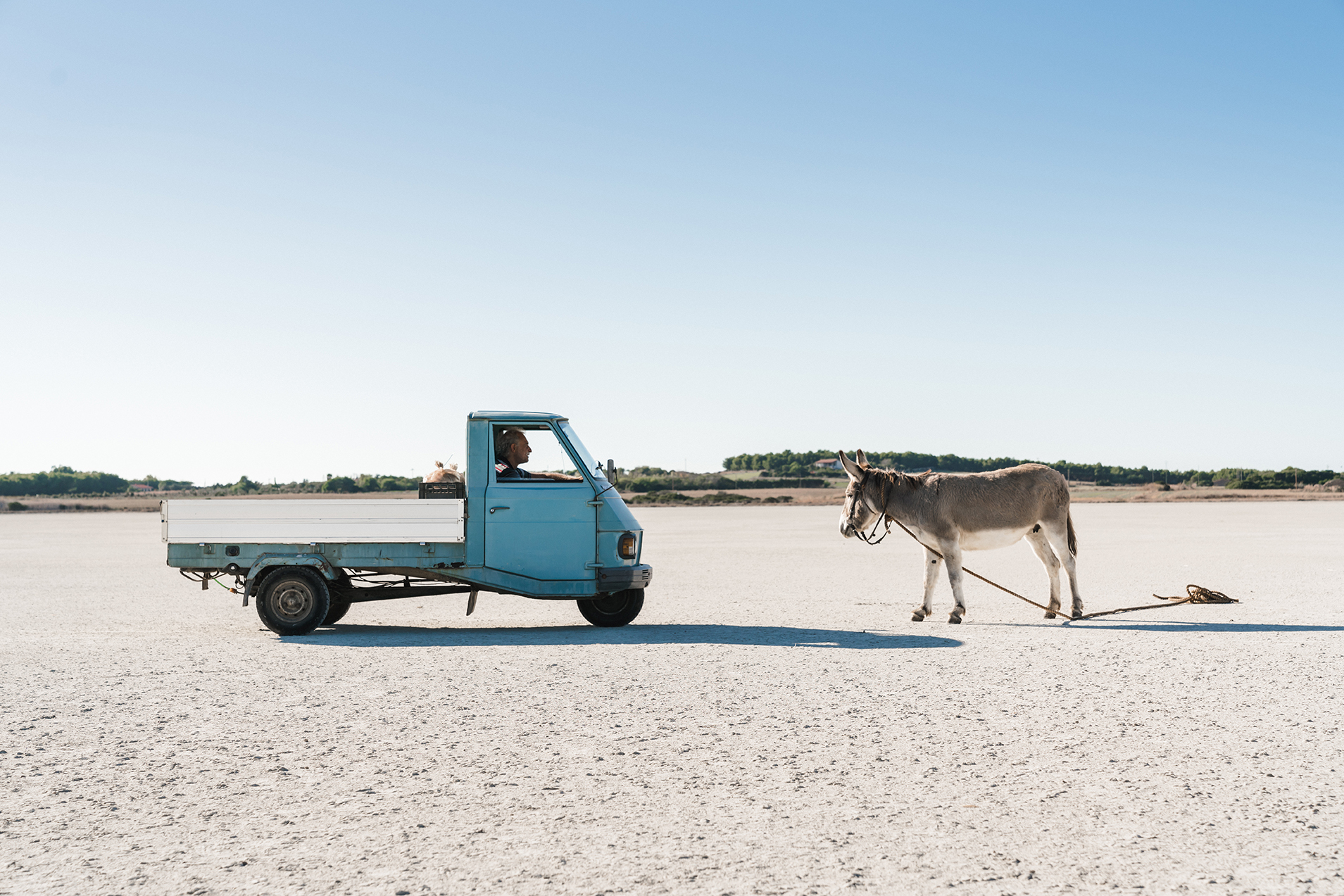 The Man Who Bought the Moon