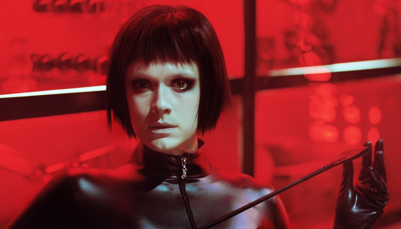 Dogs Don′t Wear Pants