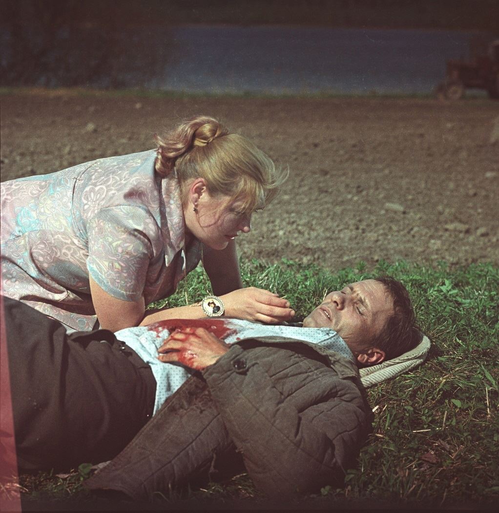 The Red Snowball Tree