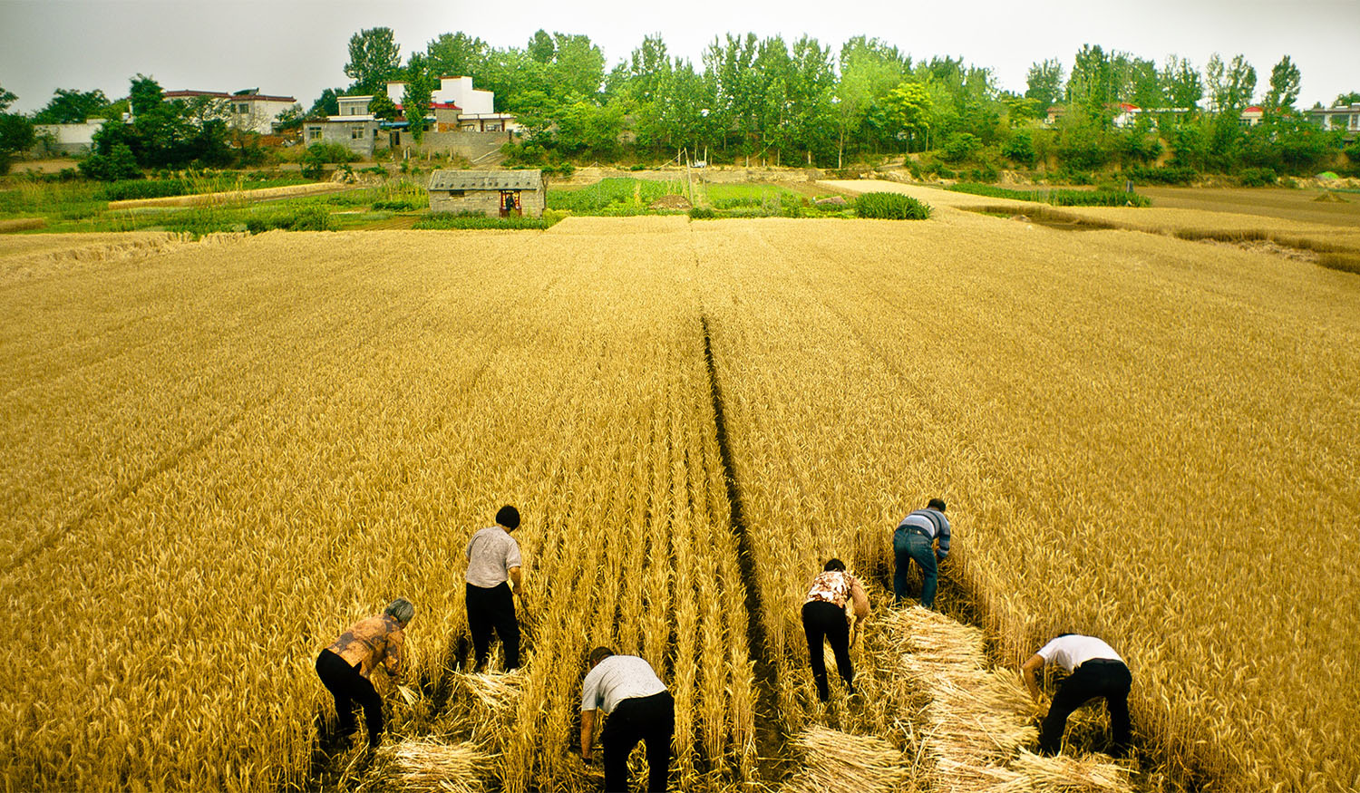 Swimming Out Till the Sea Turns Blue