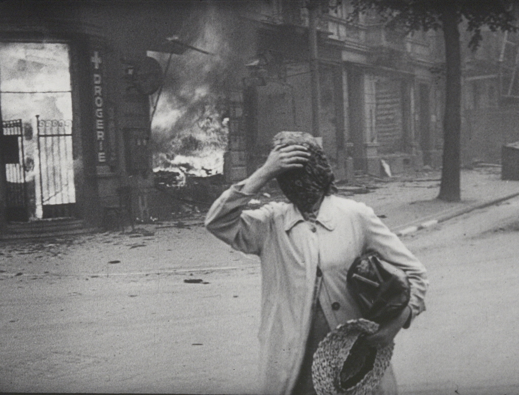 THE NATURAL HISTORY OF DESTRUCTION