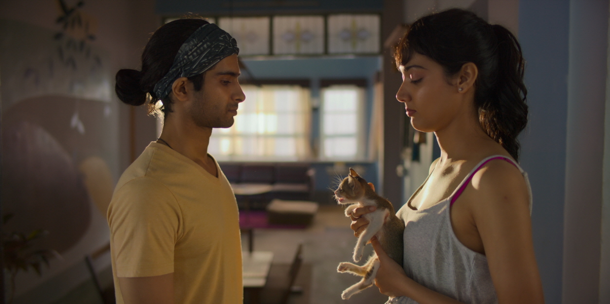 Max, Min and Meowzaki