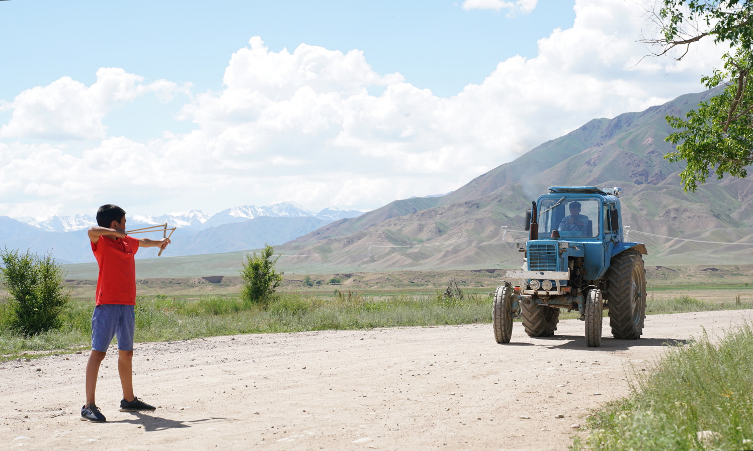 The Scent of the Wormwood