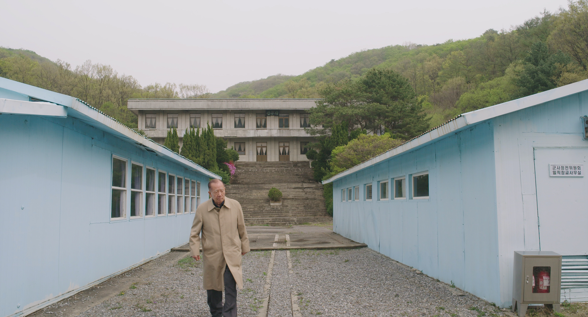 Walking in the Movies