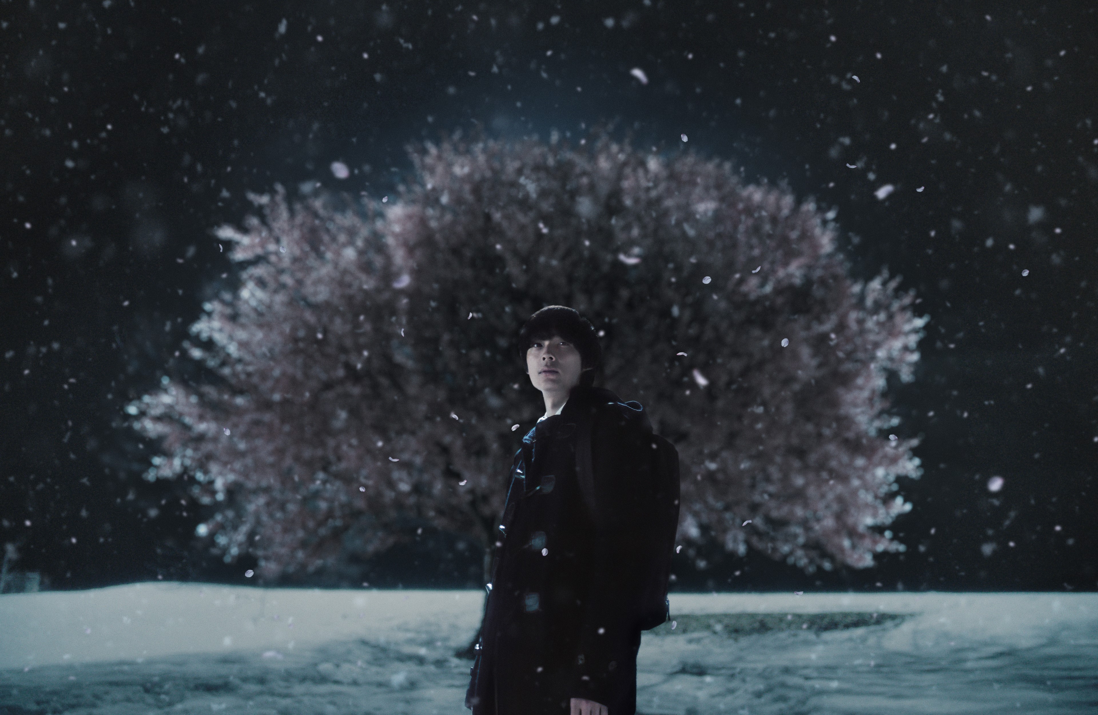 5 Centimeters Per Second