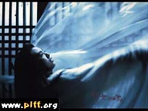 A Chinese Ghost Story