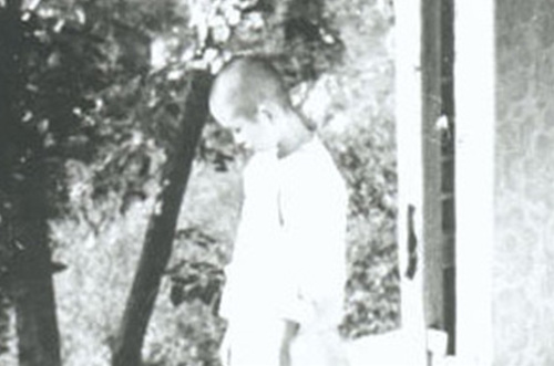 Hometown in My Heart