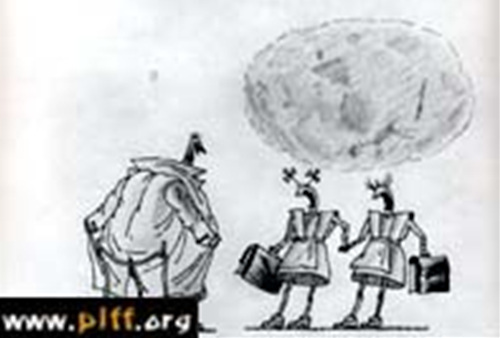 A Pilot Studio Anthology