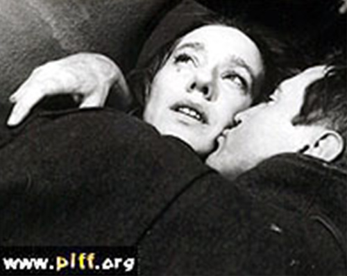 A Year of the Quiet Sun