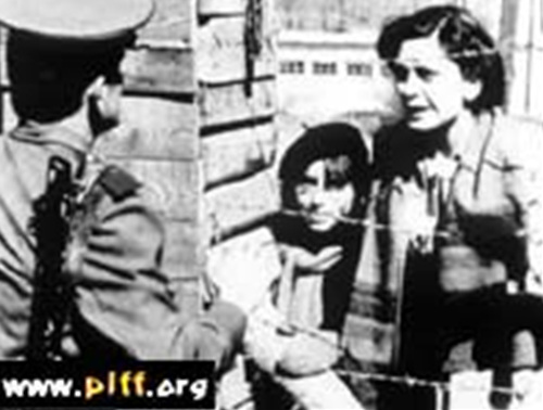 After the End of the World