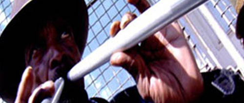 Amandla! A Revolution in Four-Part Harmony