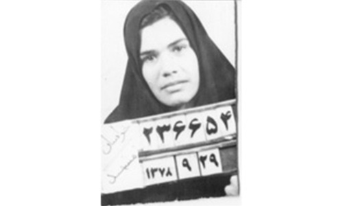 And Along Came a Spider