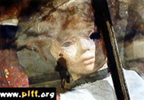 서른 네살의 브뤼노