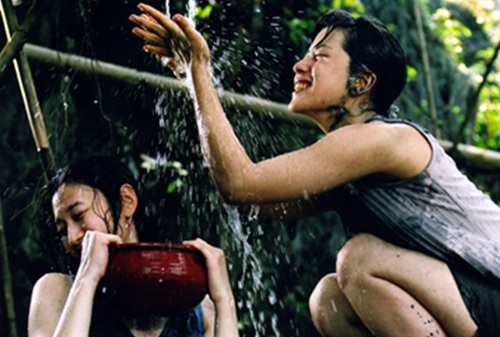 The Chinese Botanist`s Daughters