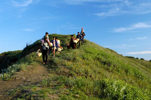 Christmas Tree - Upside Down