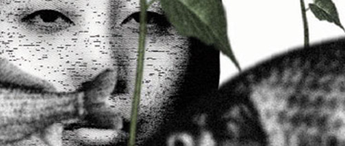 Dialogue Between Two