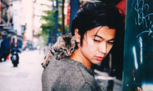 <font color=red>Drop Me a Cat <b>[CANCEL]</b></font>