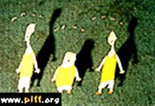 Fishing the Moon from the Pool