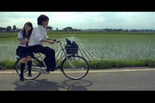 Gentle Breeze Blowing