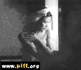 Guests Who Came by the Last Train