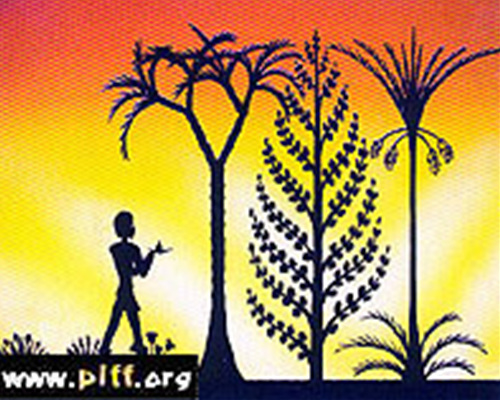 프린스 앤 프린세스