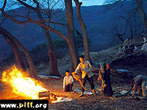 Spring in My Hometown