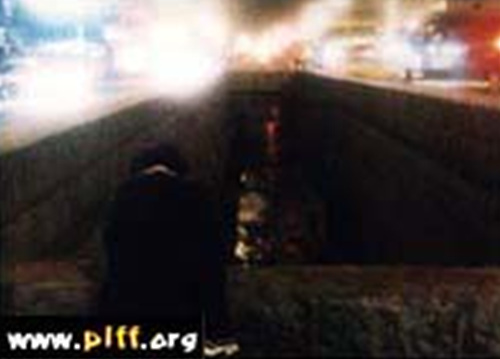 변함없는 나의 홍콩