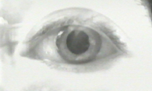 T-Bone Comes to Town