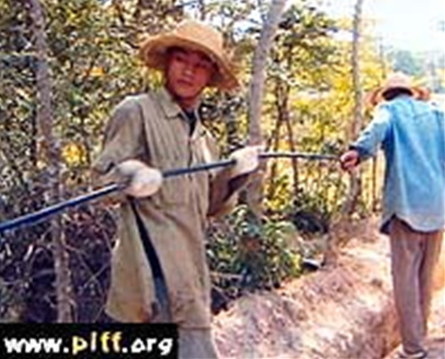 방황하는 영혼의 땅