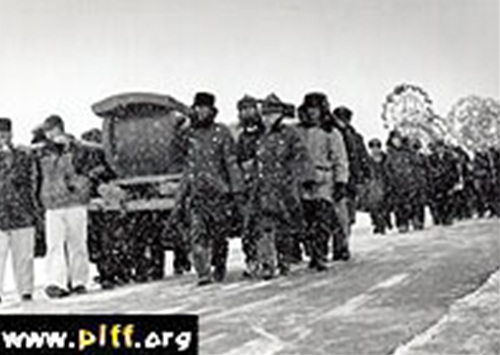 집으로 가는 길