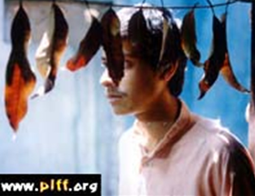 The Servant′s Shirt