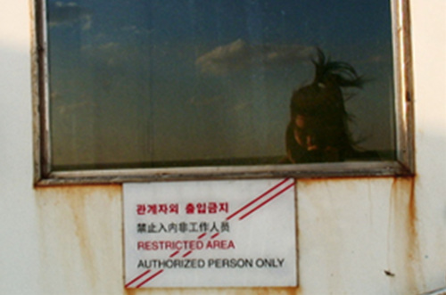 TRANS#: working title