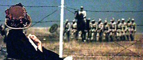 An Unforgettable Summer