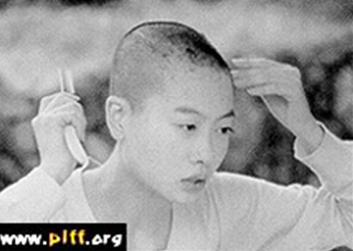 Where Have All the Flowers Gone?