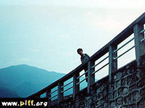 누가 야생동물의 날을 보았는가